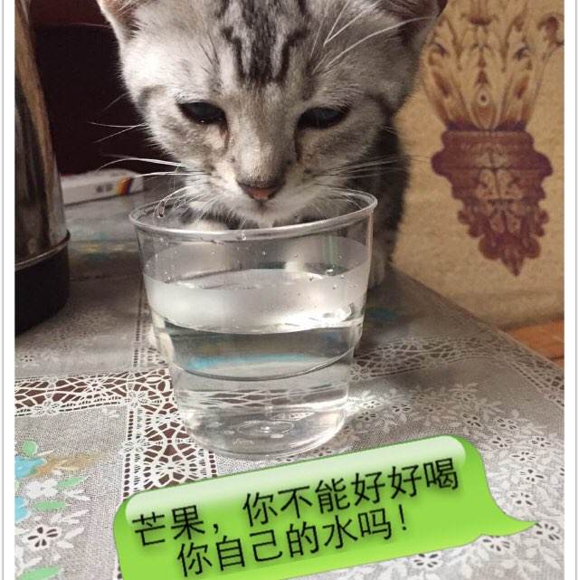 图卢兹第二大学假学位证购买